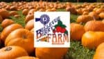 Bellevue Berry Farm & Pumpkin Ranch
