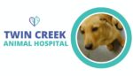 Twin Creek Animal Hospital